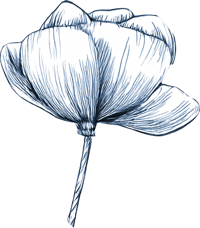 A detailed illustration of a flower.