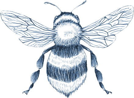 An illustration of a bee mid flight.