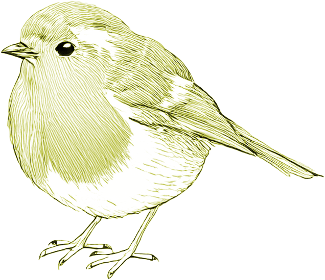 A green illustration of a small Robin.
