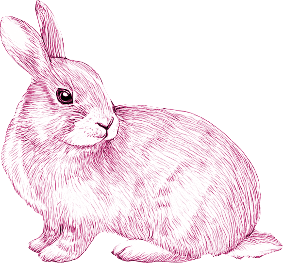 Pink illustration of a rabbit.