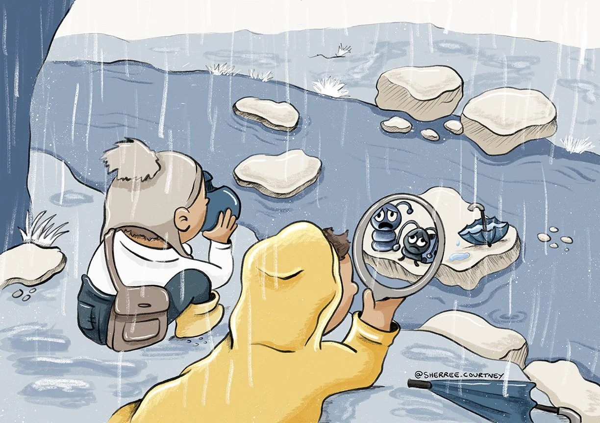 Rainybughunt1.jpg