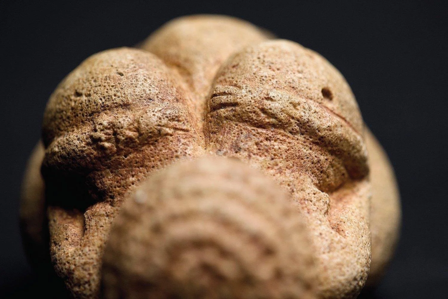 Venus of Willendorf, maternal figurine