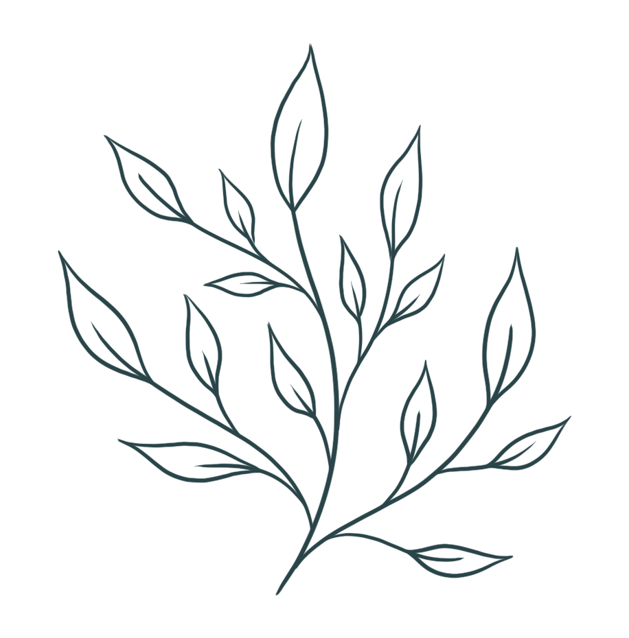 Dessin simple d'une branche avec des feuilles