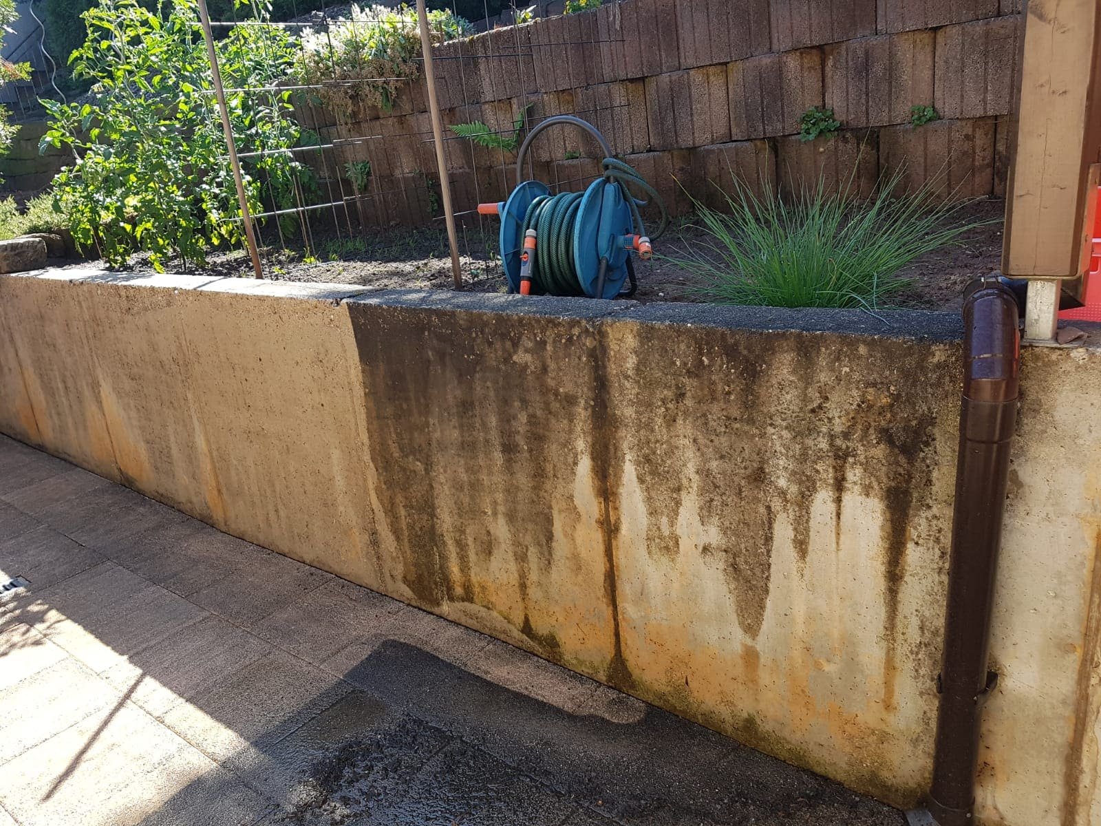 Gartenbereich mit hoher Betonmauer, darauf ein grüner Schlauchaufroller und einige Pflanzen. Im Hintergrund ist eine mit Ziegeln gemauerte Wand und mehr Grünpflanzen zu sehen.