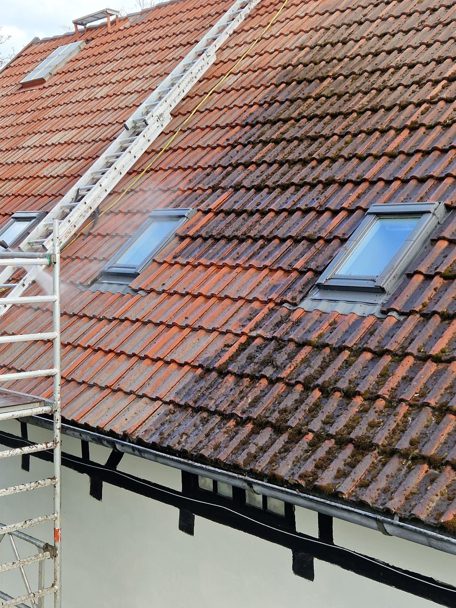 Dach mit Ziegeln, teilweise mit Moos bedeckt, zwei Dachfenster und Leitern zur Reinigung.