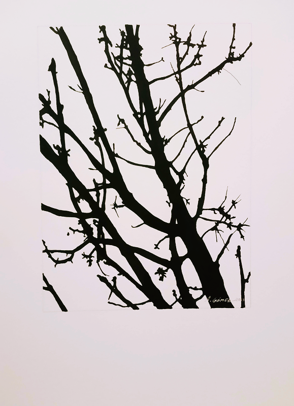 Galería Estructuras arbóreas 03.png