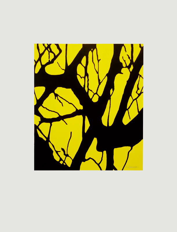 Galería Estructuras arbóreas 05.png