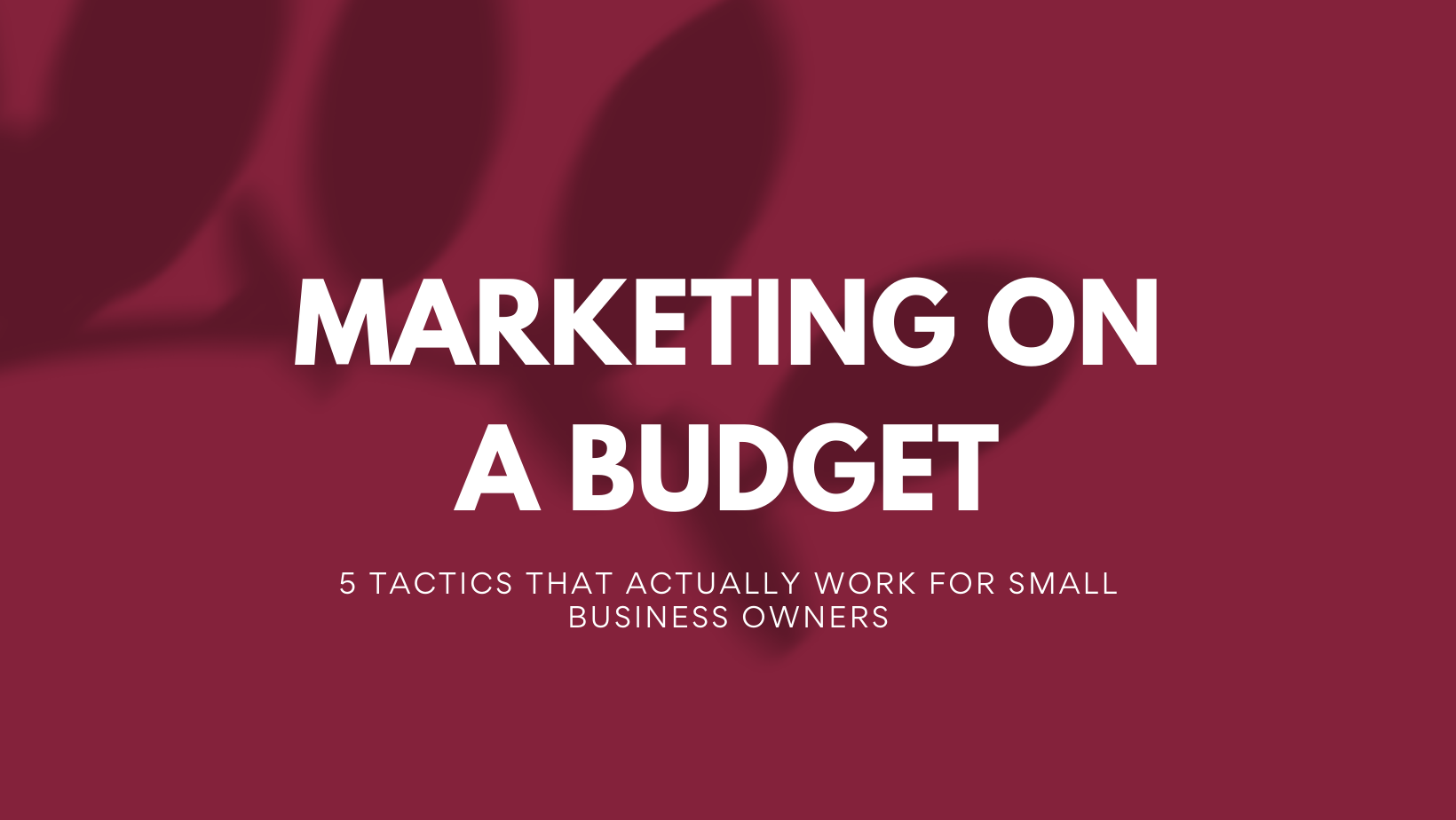 Marketing on a Budget: 5 Tactics That Actually Work for Small Business Owners