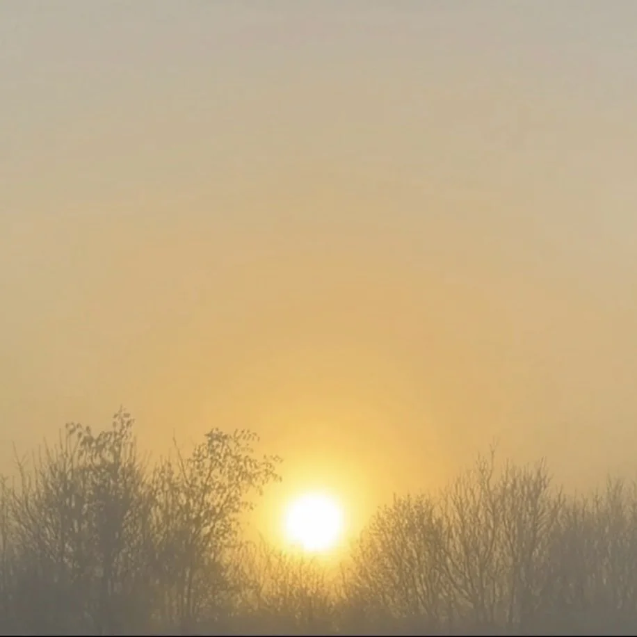 Herzgeflüster Reel Covers 2.jpg