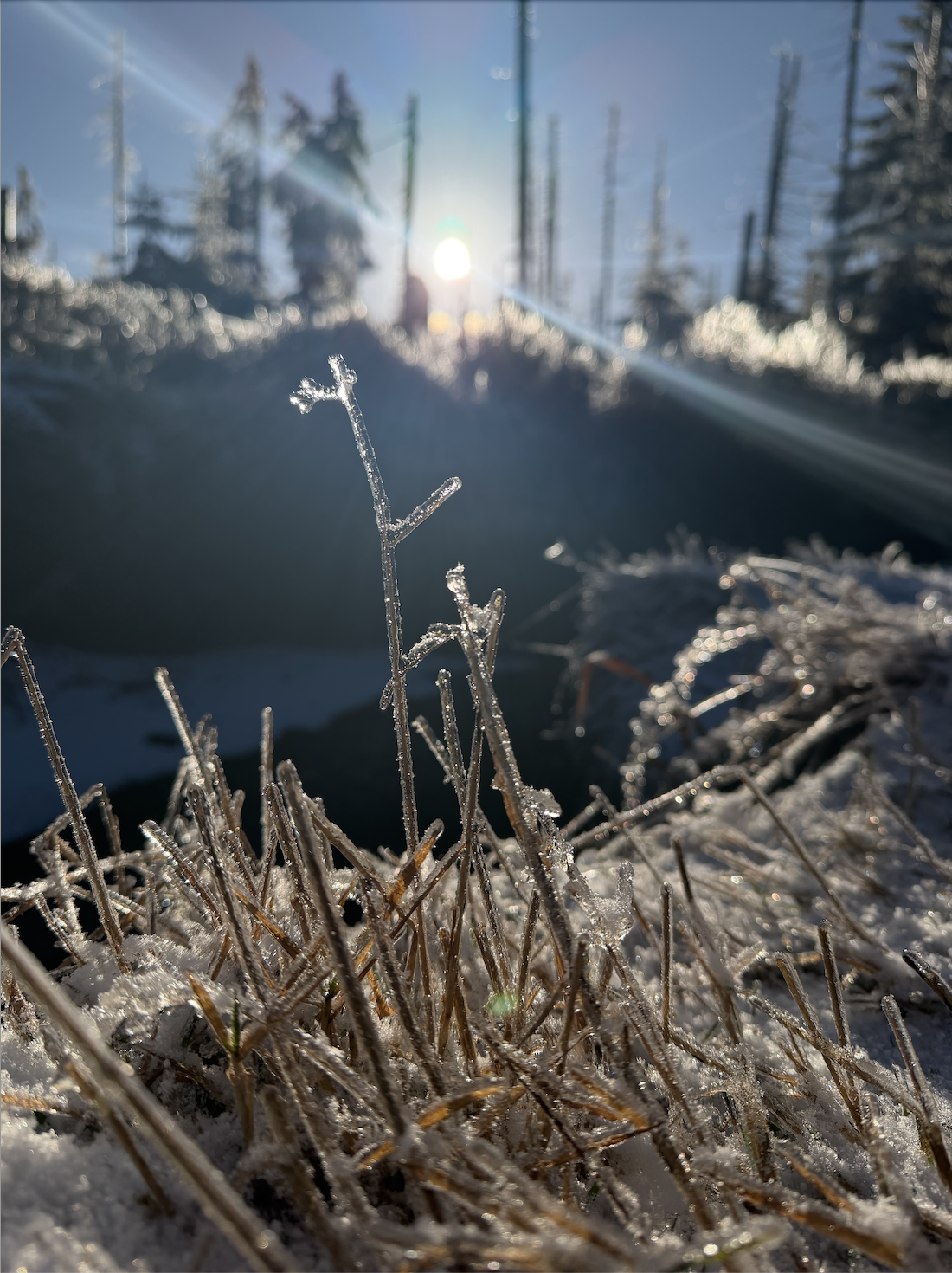 Screenshot 2026-01-05 at 17.46.01.png