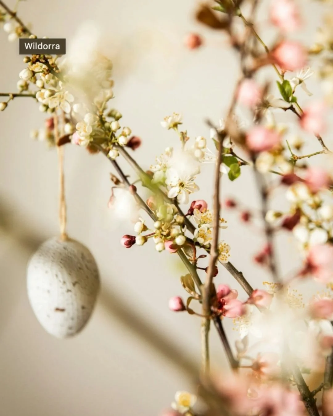 Ostara - eines der jüngeren Jahreskreisfeste