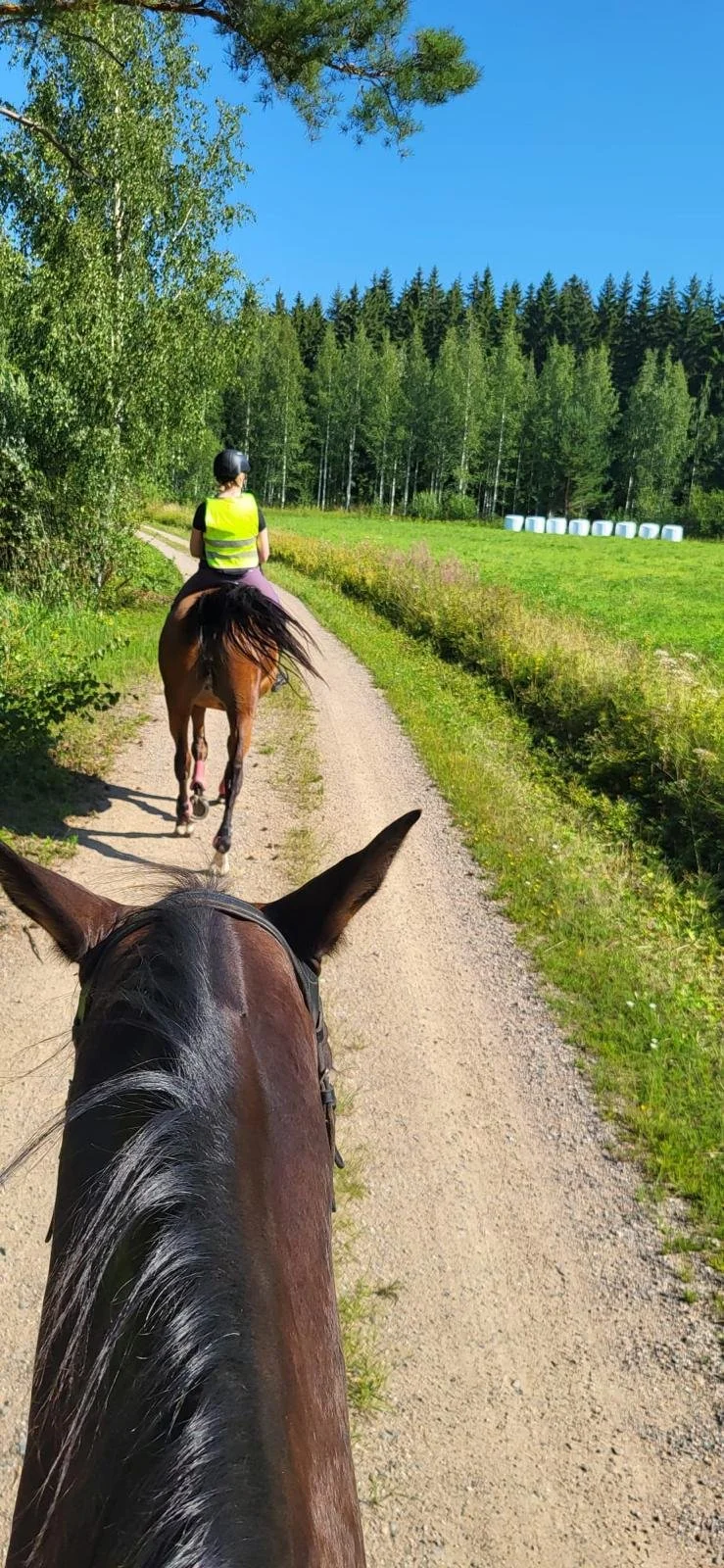Two riders on horses traveling along a peaceful country road surrounded by forest and fields near Lake Saimaa, Finland.