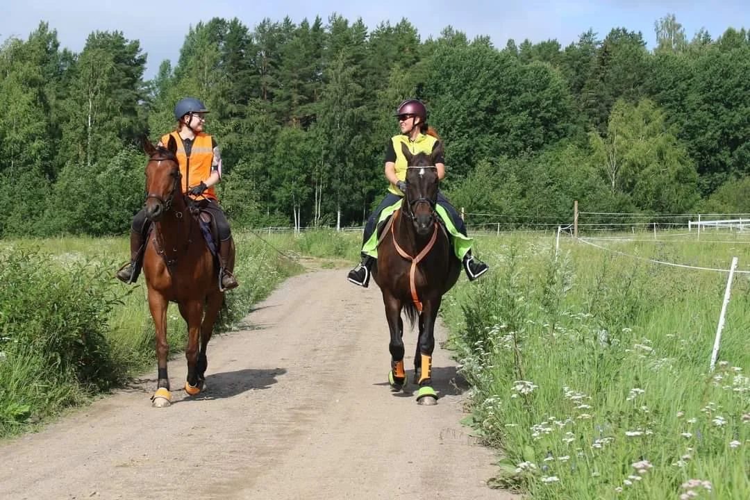 Two riders on horseback along a quiet country road in the Finnish countryside during a Lake Saimaa horse retreat.
