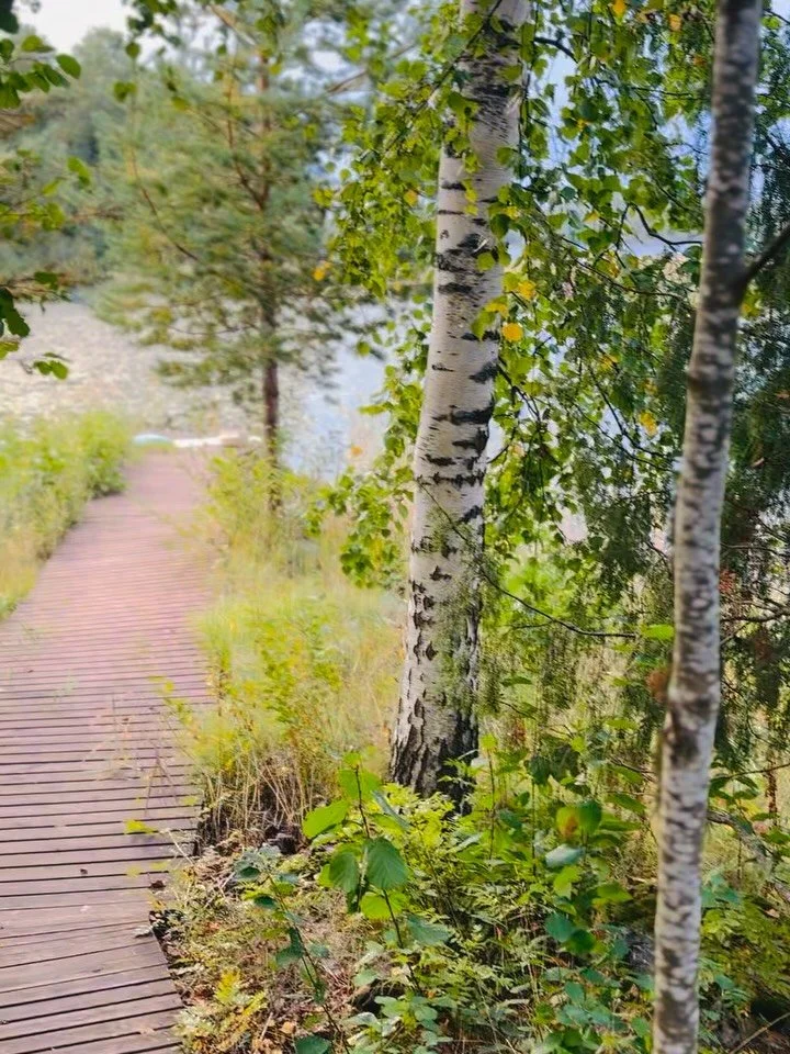 🌿Oma sunnuntai. My own Sunday.

Lettuaamupala terassilla. Ajatuksia laiturin l&auml;mm&ouml;ss&auml;. J&auml;sentely&auml; suppaillen. Kalojen polskintaa. 
Keskustelua sudenkorentojen, muuttolintujen ja puiden kanssa. Saunan l&auml;mmitys. 

Crepes 