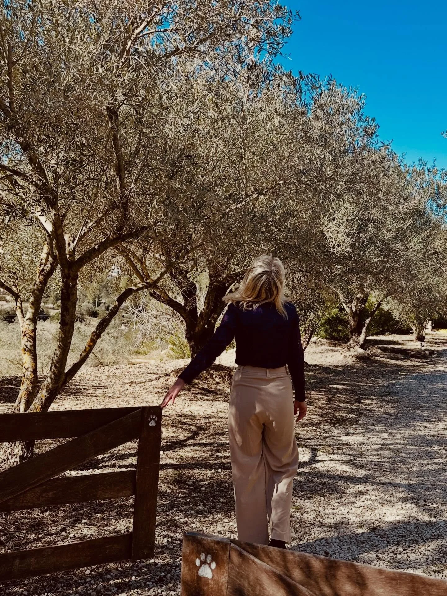 A friend of mine had eye surgery this week.

When he removed the bandage, he was afraid. What would he see? Would he see?

He did.
He saw colors he had forgotten existed. He cried.

We cherish what we regain.

There are moments when I feel the same a