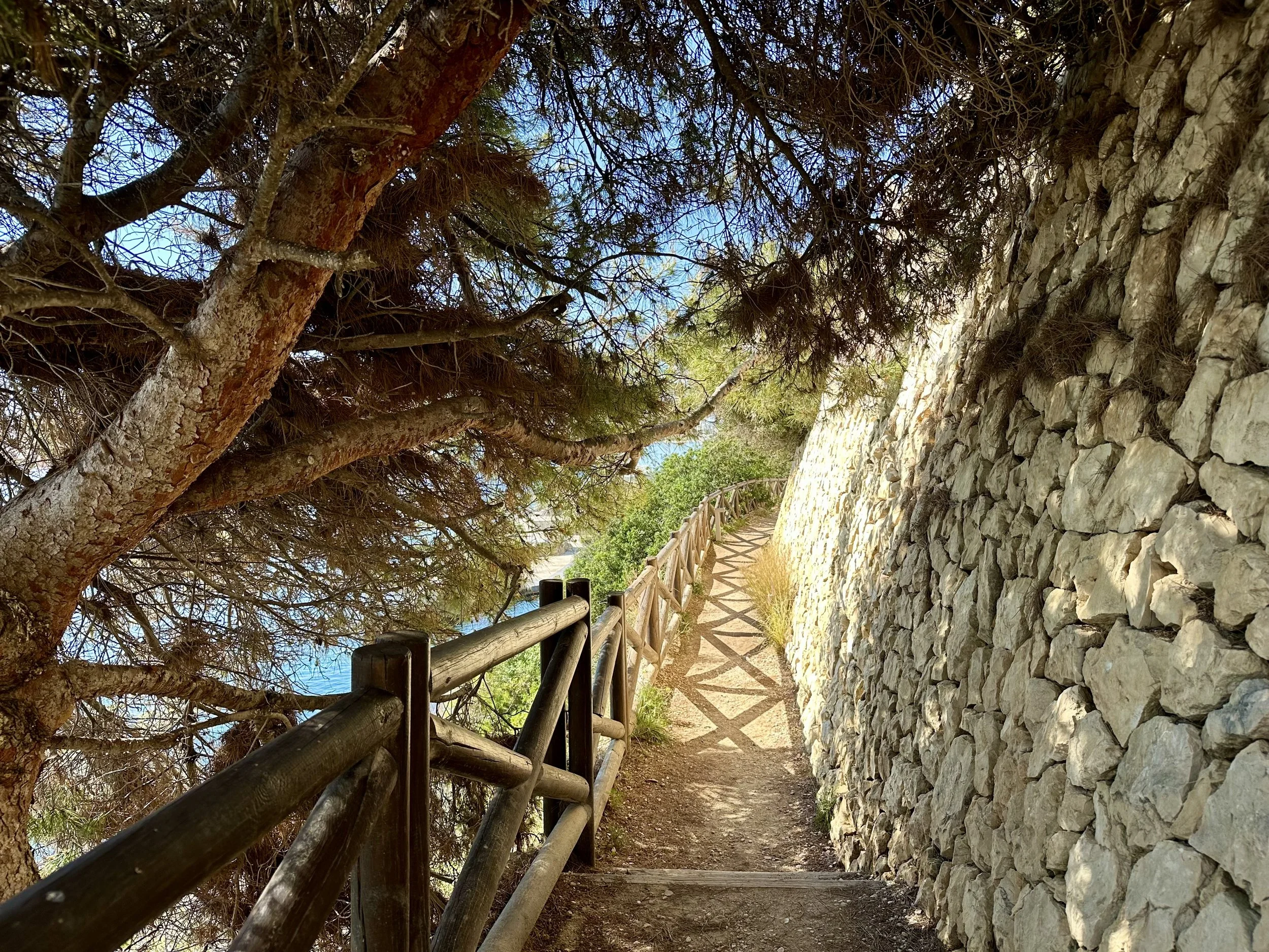 When Nature Becomes a Mirror: A Reflective Walk on the Ruta Ecológica in Benissa