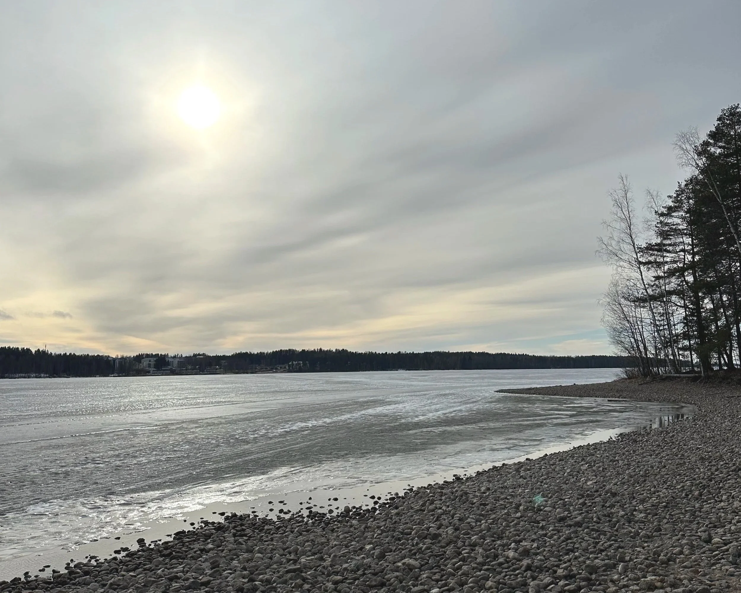 Learnings from the Finnish Forest