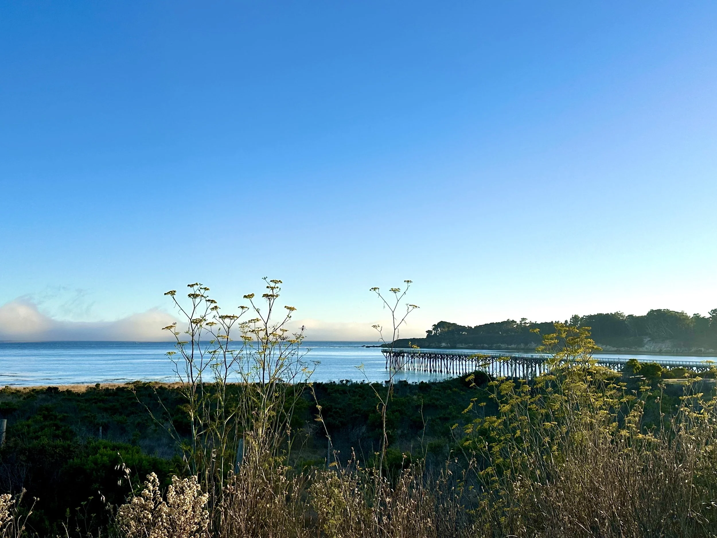 Walk the walk, talk the talk