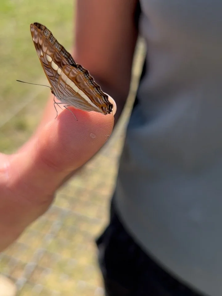 Growing up among the forests and lakes of Finland, I always had a connection to nature, though I didn&rsquo;t fully understand its value and power until I stepped away from it.

Years of studying and working in fast-paced environments across the Unit