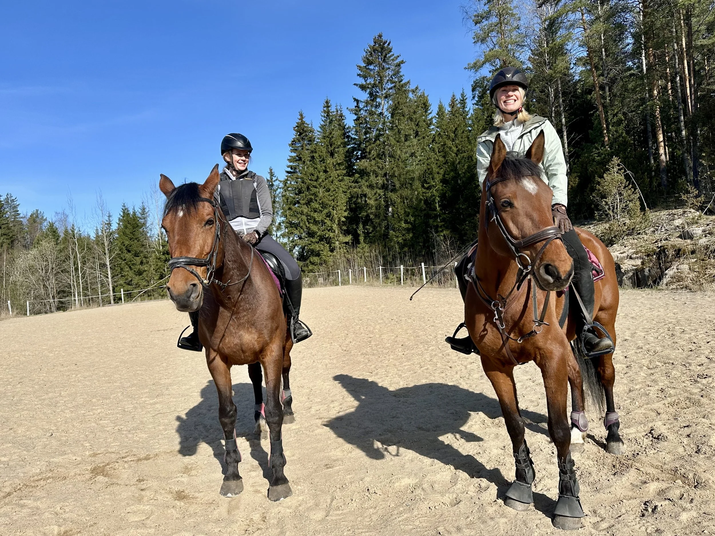 Horse Energy