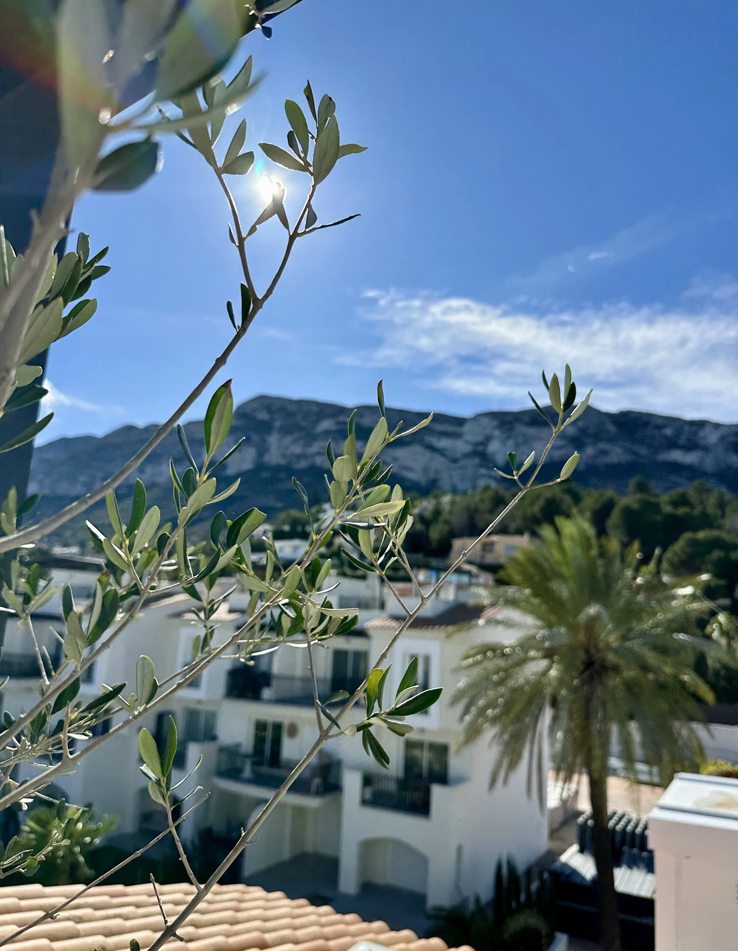 View of Montgó mountain from the Panorama Penthouse in Dénia, surrounded by Mediterranean greenery and bright coastal light.