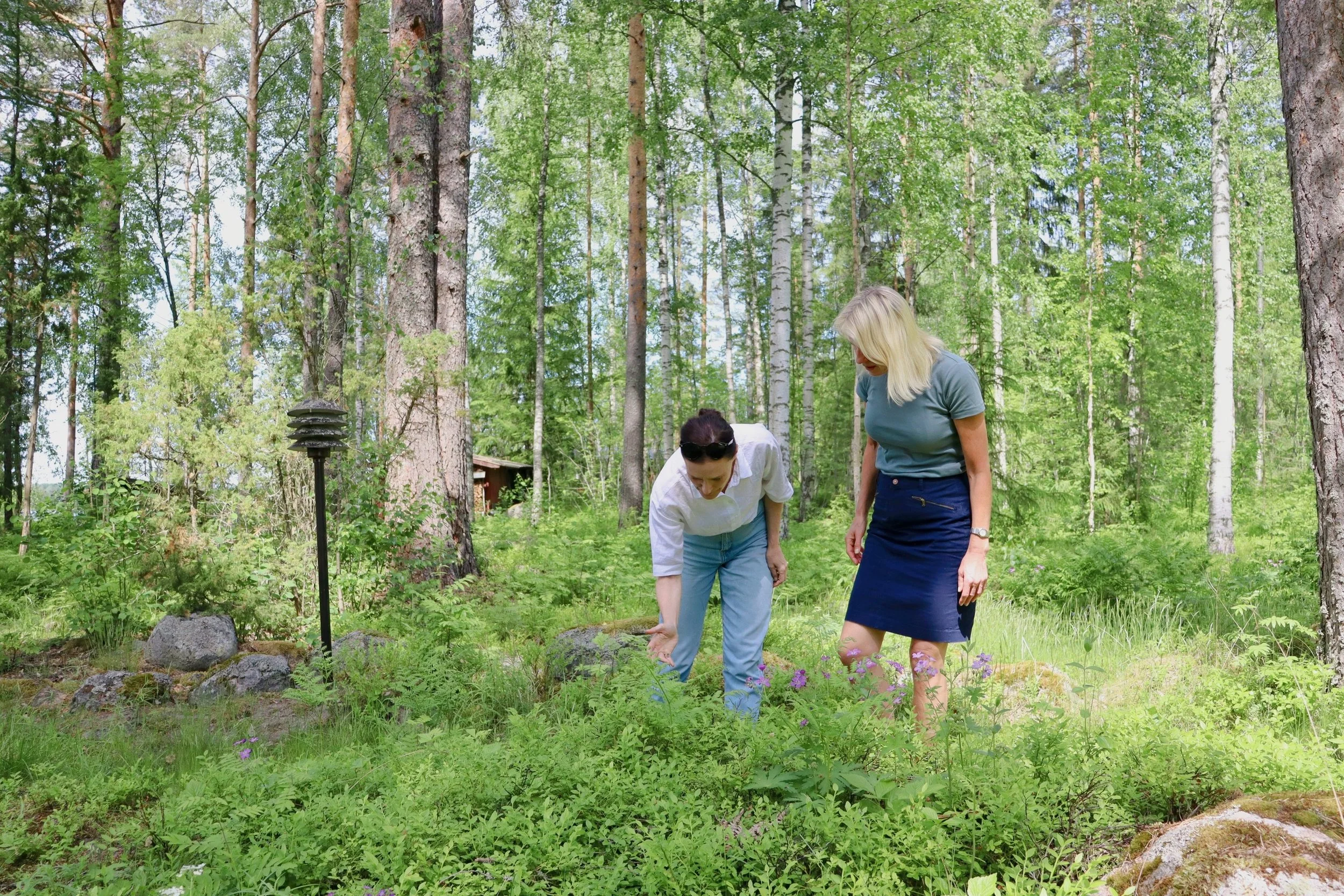 Two women explore a forest trail at Blueberry Villa, gently touching leaves, plants, and wildflowers as they walk through the Finnish Lakeland woodland. Surrounded by pine and birch trees, they immerse themselves in nature through curiosity.