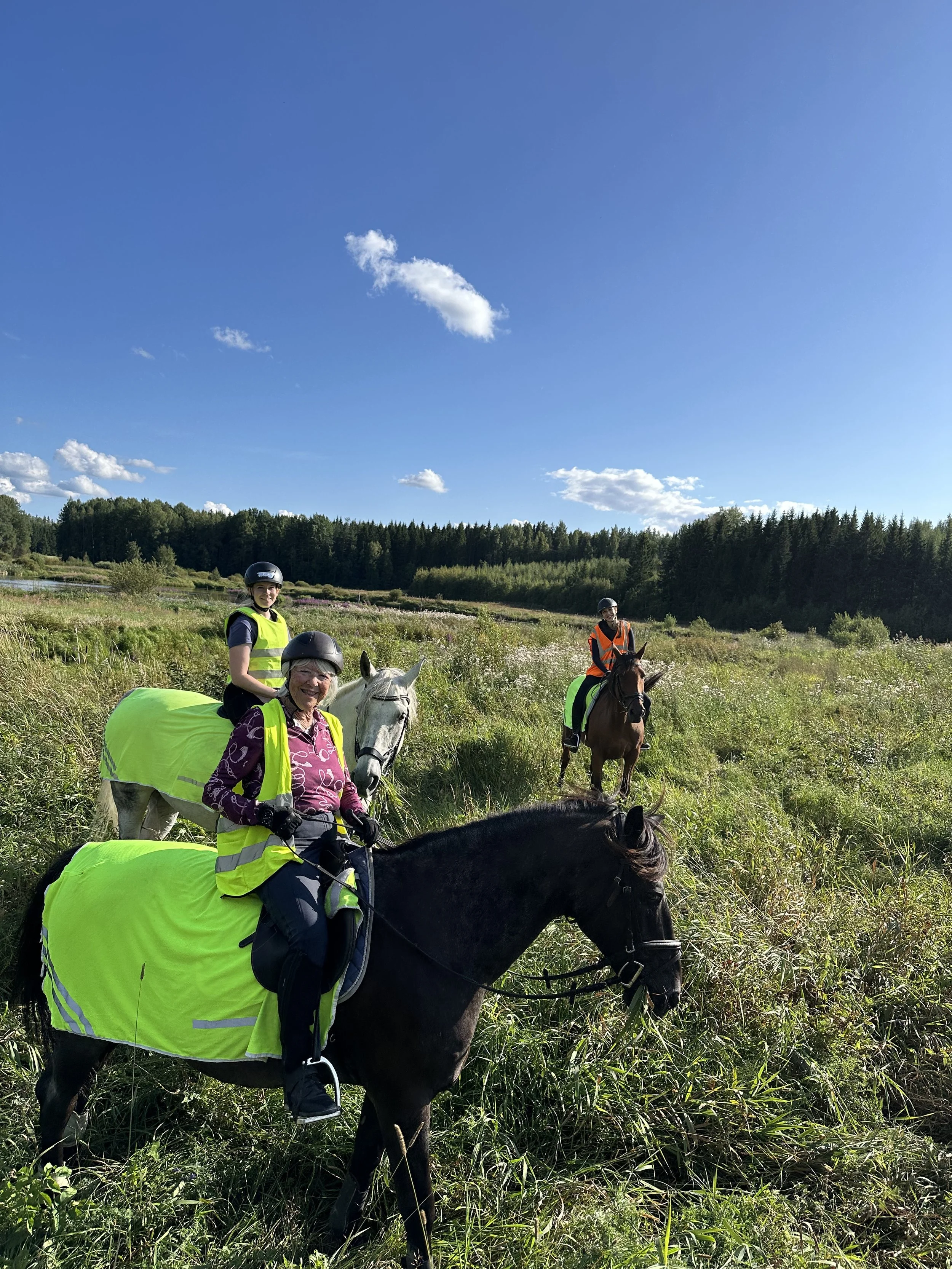 Together with Kannuskylä stables we offer trail rides across the village trails including visit to the Ryngänsuo nature reserve.