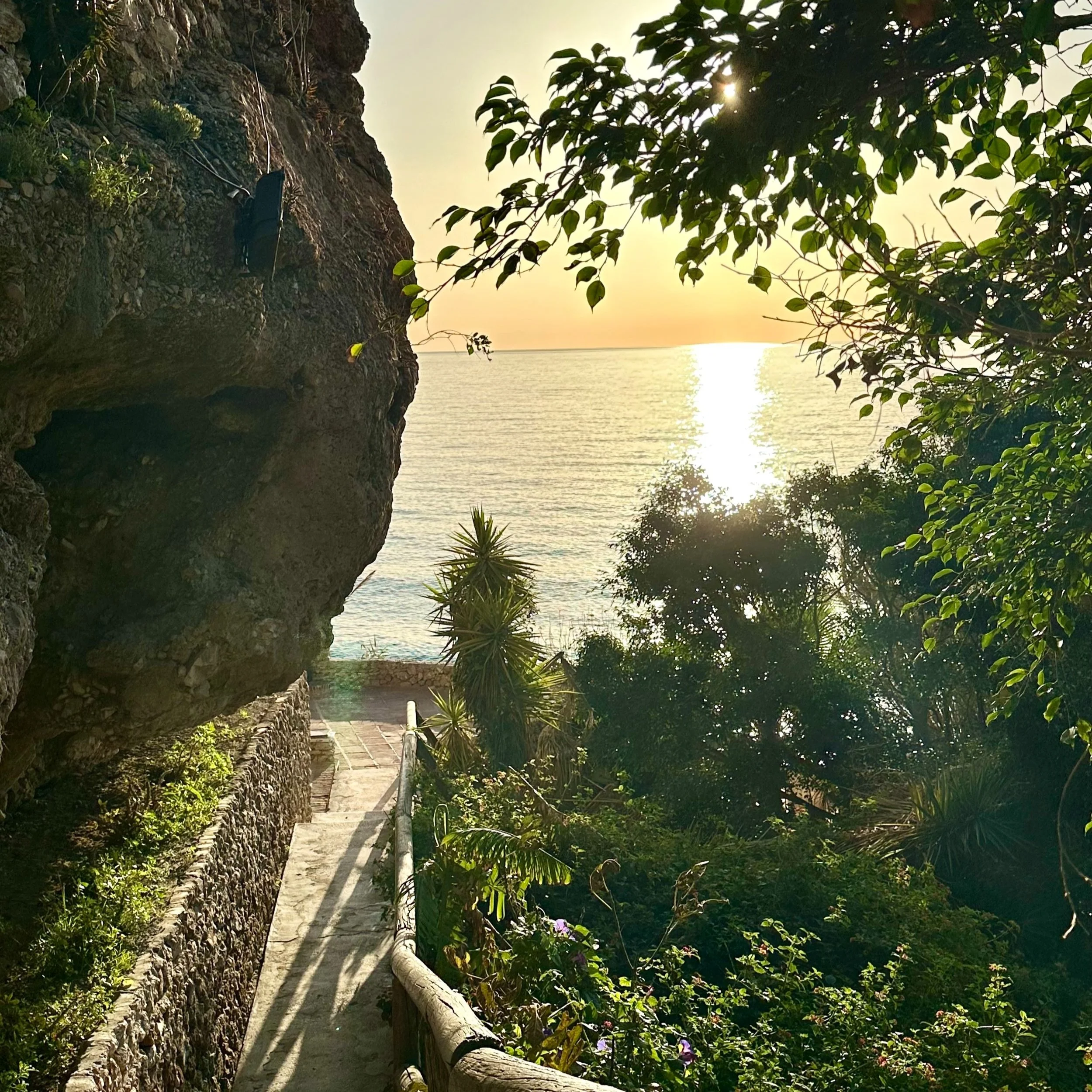 Pathway leading to a view of the ocean at sunset, surrounded by lush greenery and large rocks.