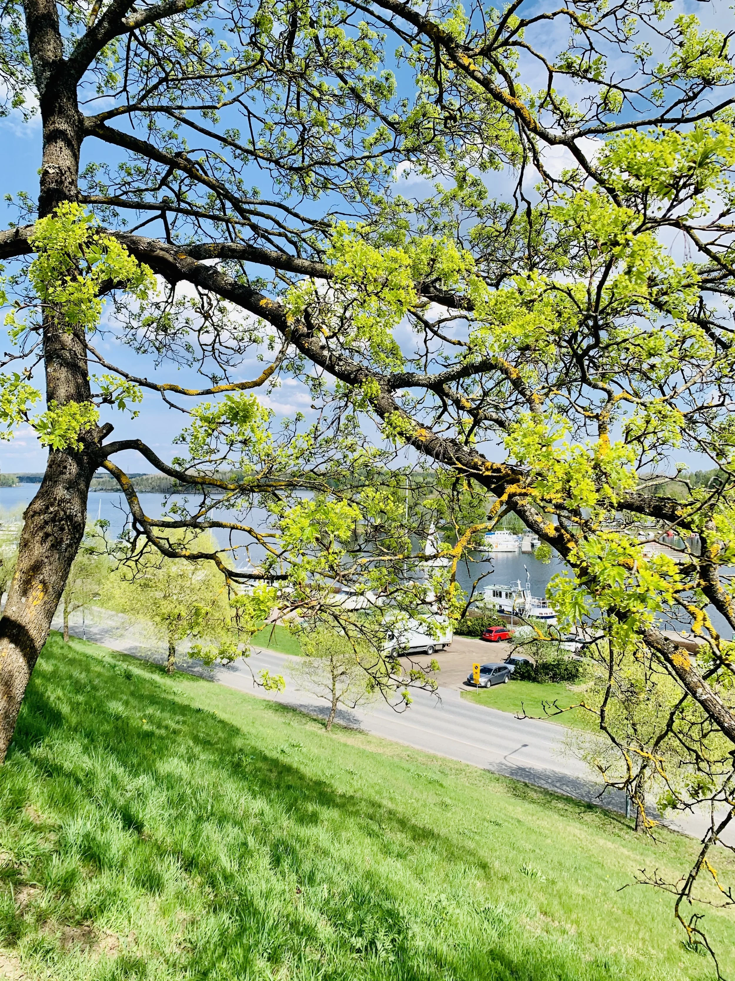 View of Lappeenranta Old Town park and sustainable tourism area, where nature, water, and history meet as part of Mirka’s journey.