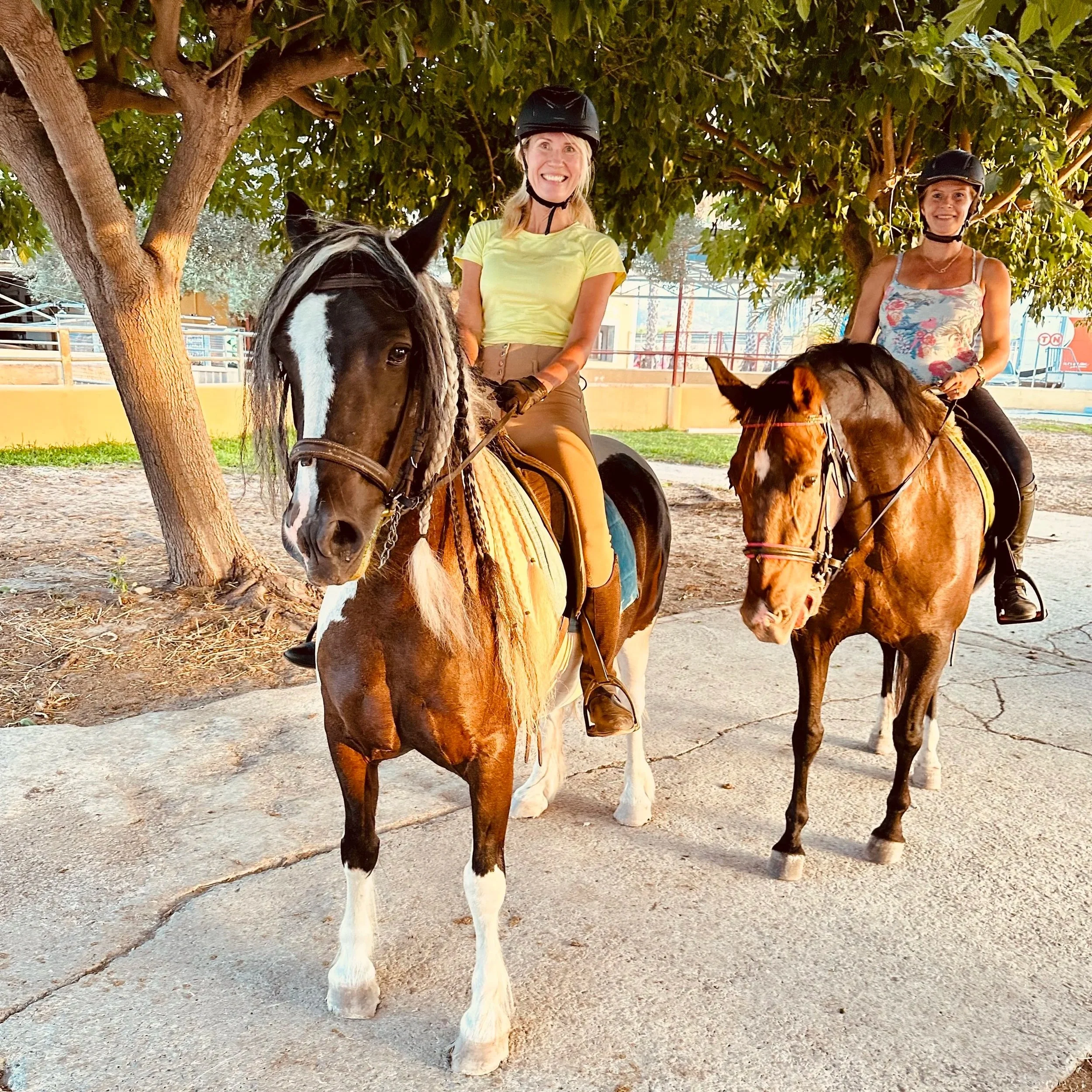 Horse riding experience in Oliva Natural Park, Spain during a Luontopolku horse coaching session in Mediterranean nature begins from the Centro Hipico Oliva.