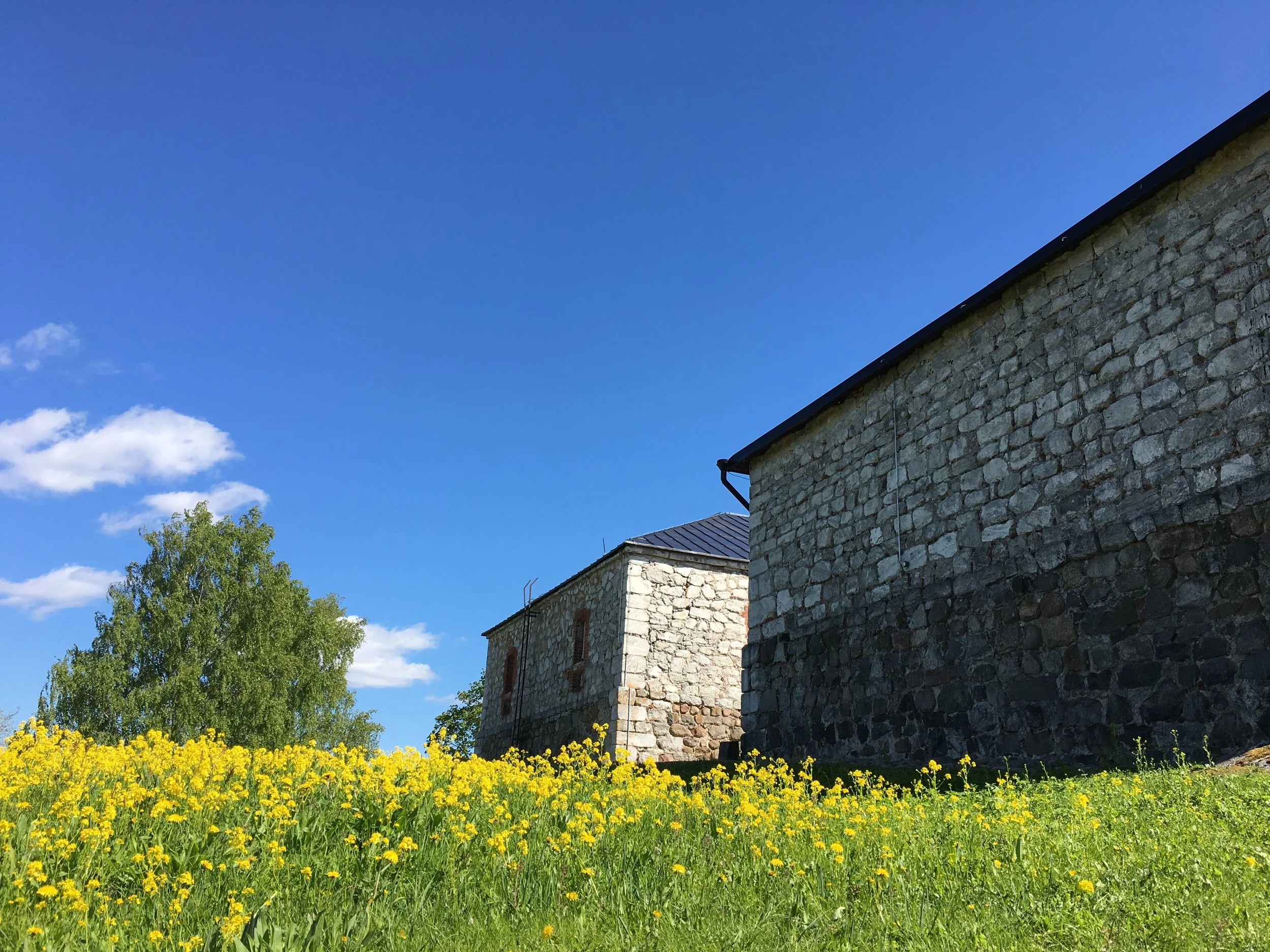 Luontopolku reflective walk – Lappeenranta Fortress, Saimaa UNESCO Global Geopark, Finland.