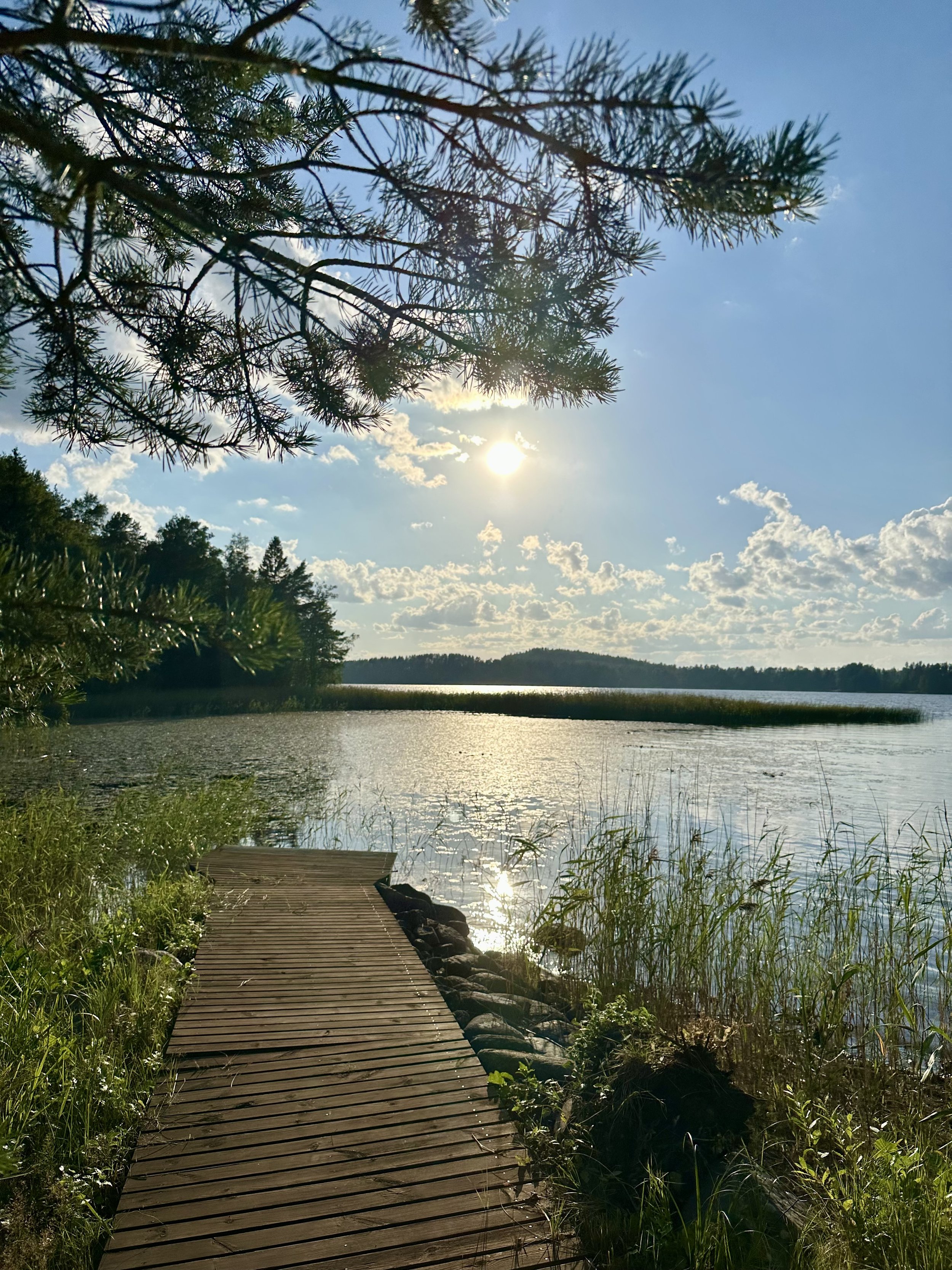 Blueberry villa has its own shore located only about 150 meters away from Linnavuori rock paintings.