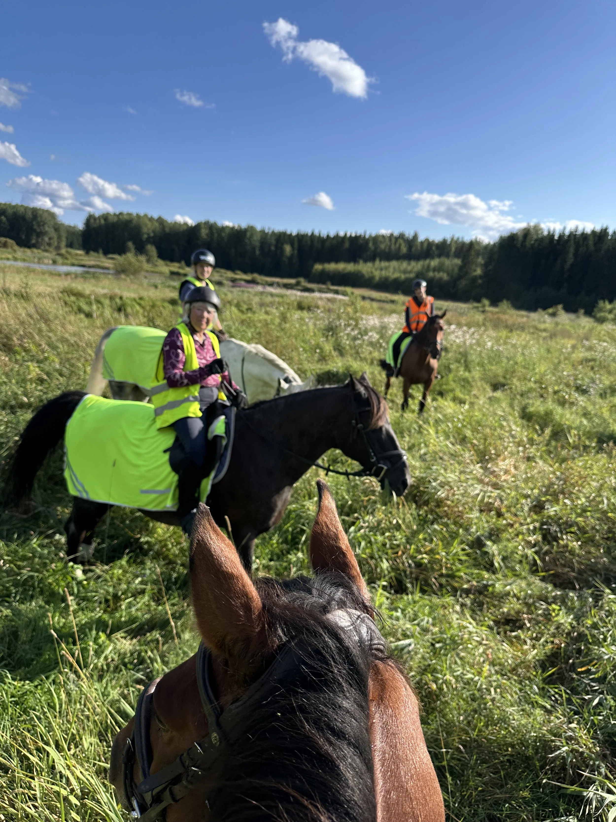 Group of riders on Finnish green landscape during a horse retreat trail ride.
