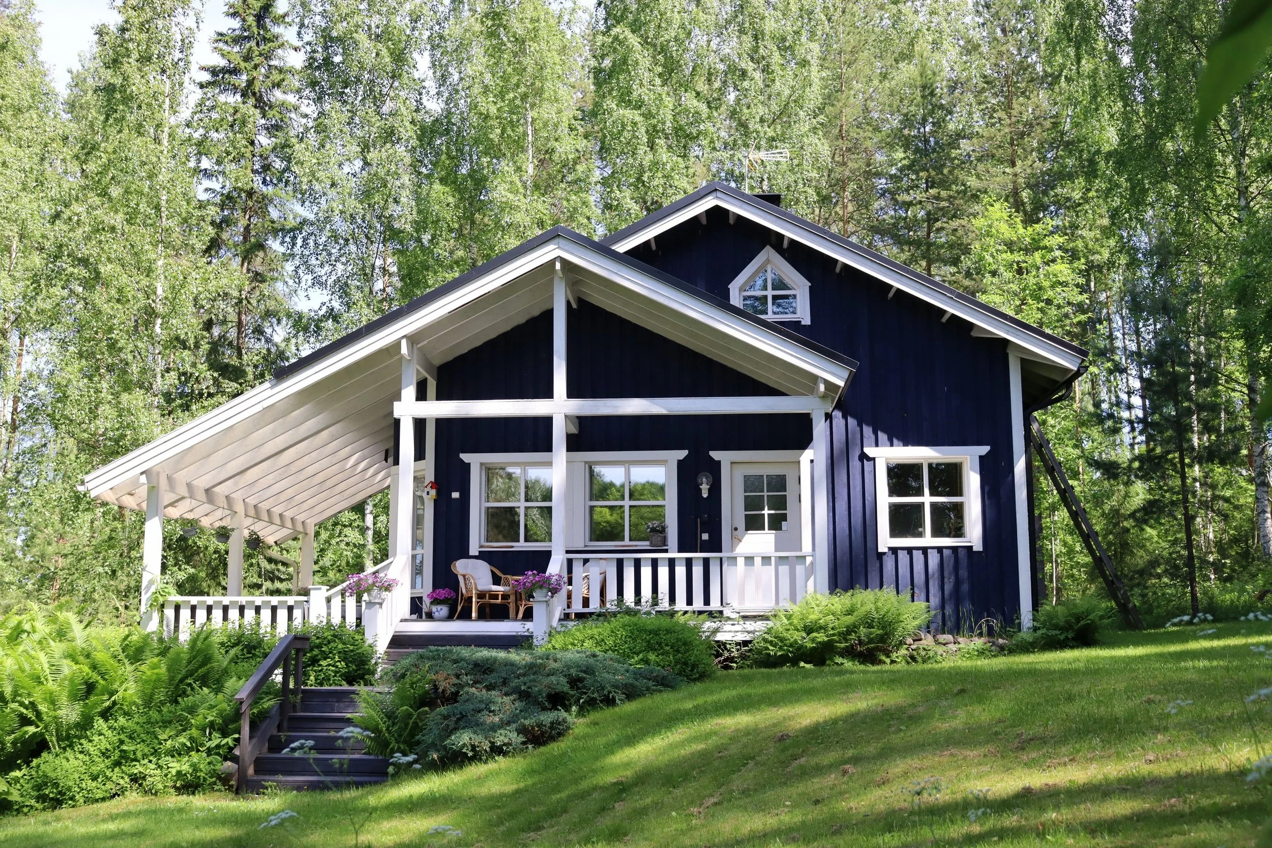 Blueberry villa surrounded by tall pines at Lake Saimaa, Finland offers a tranquil escape.