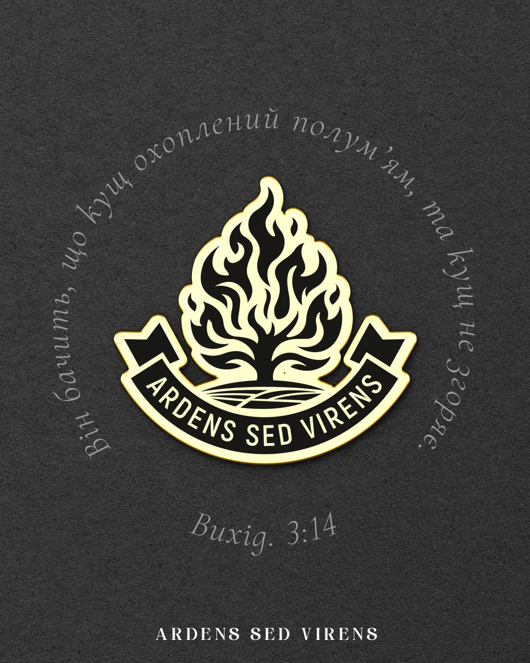 Монтажная область 3.jpg