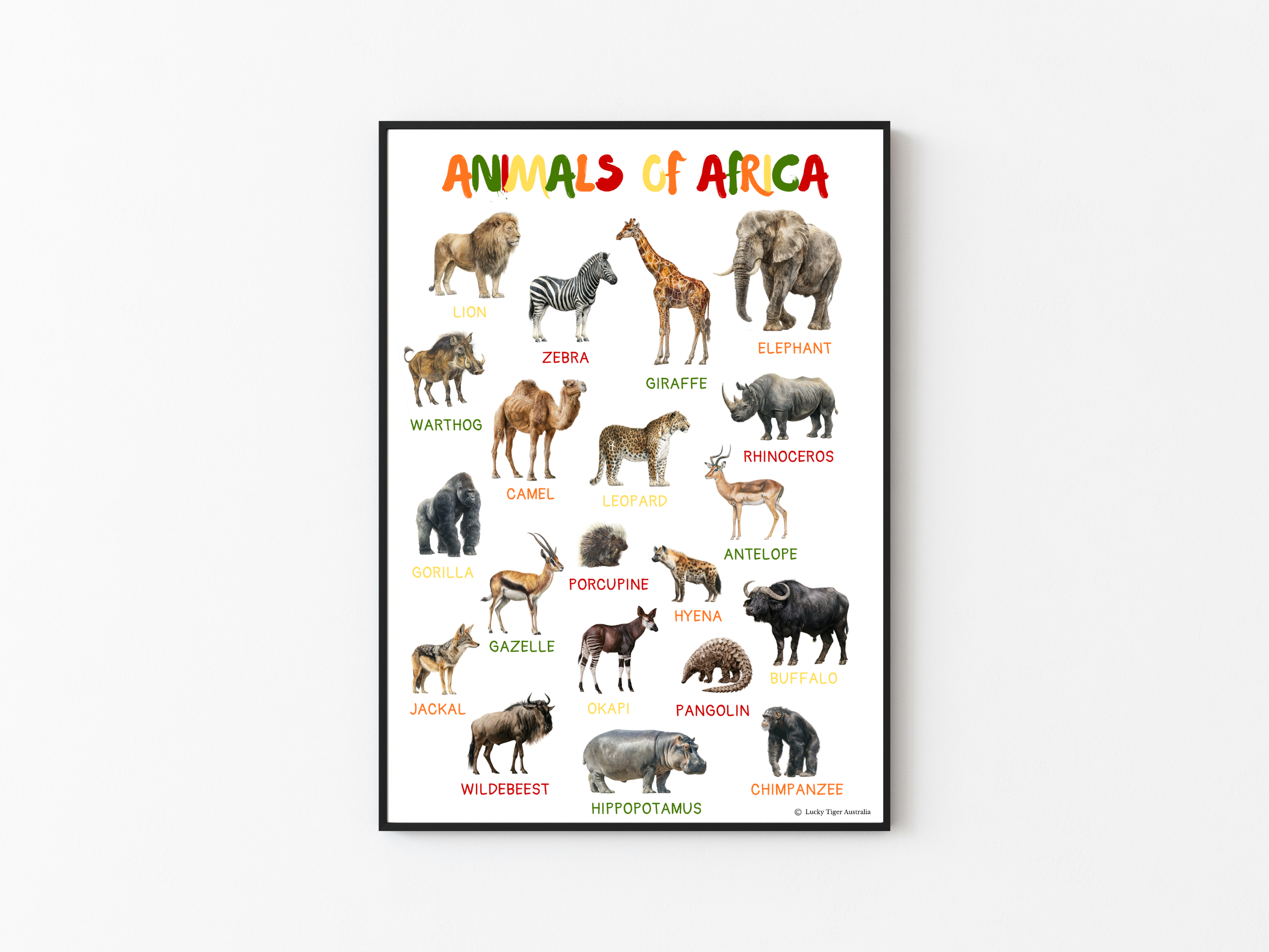 ANIMALS OF AFRICA A3 PRINTED POSTER