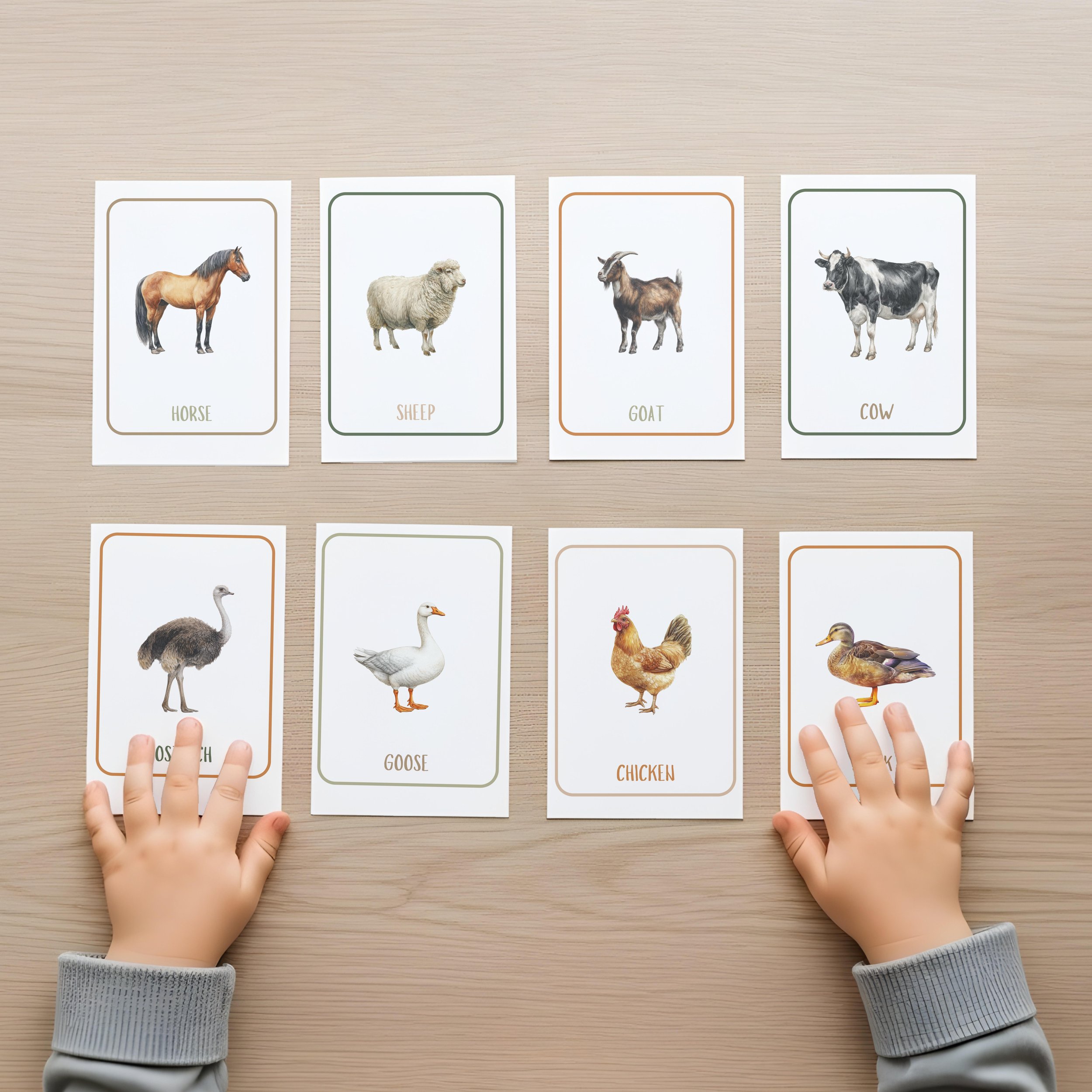 FARM ANIMALS 2.jpg