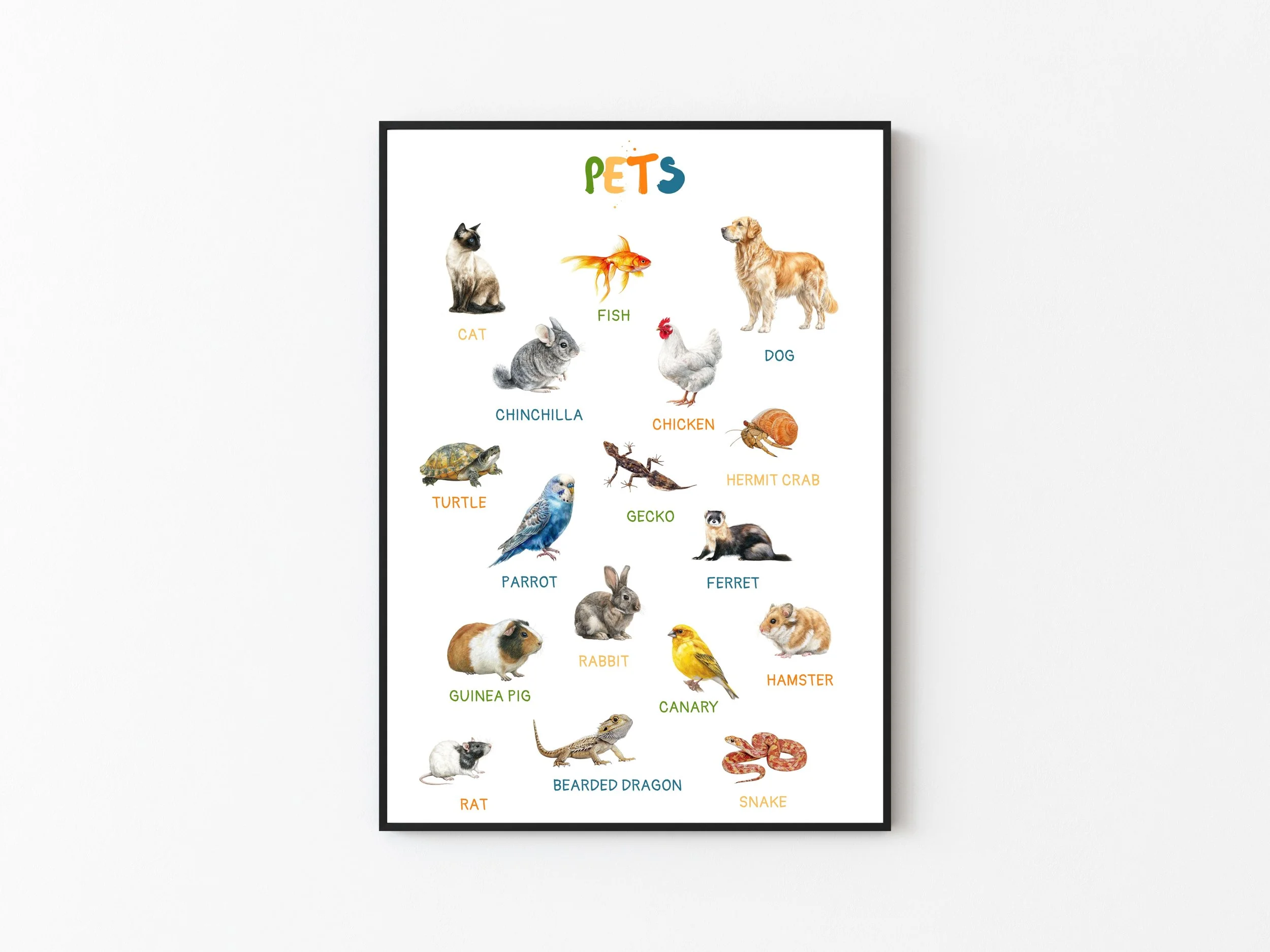 PETS A3 PRINTED POSTER