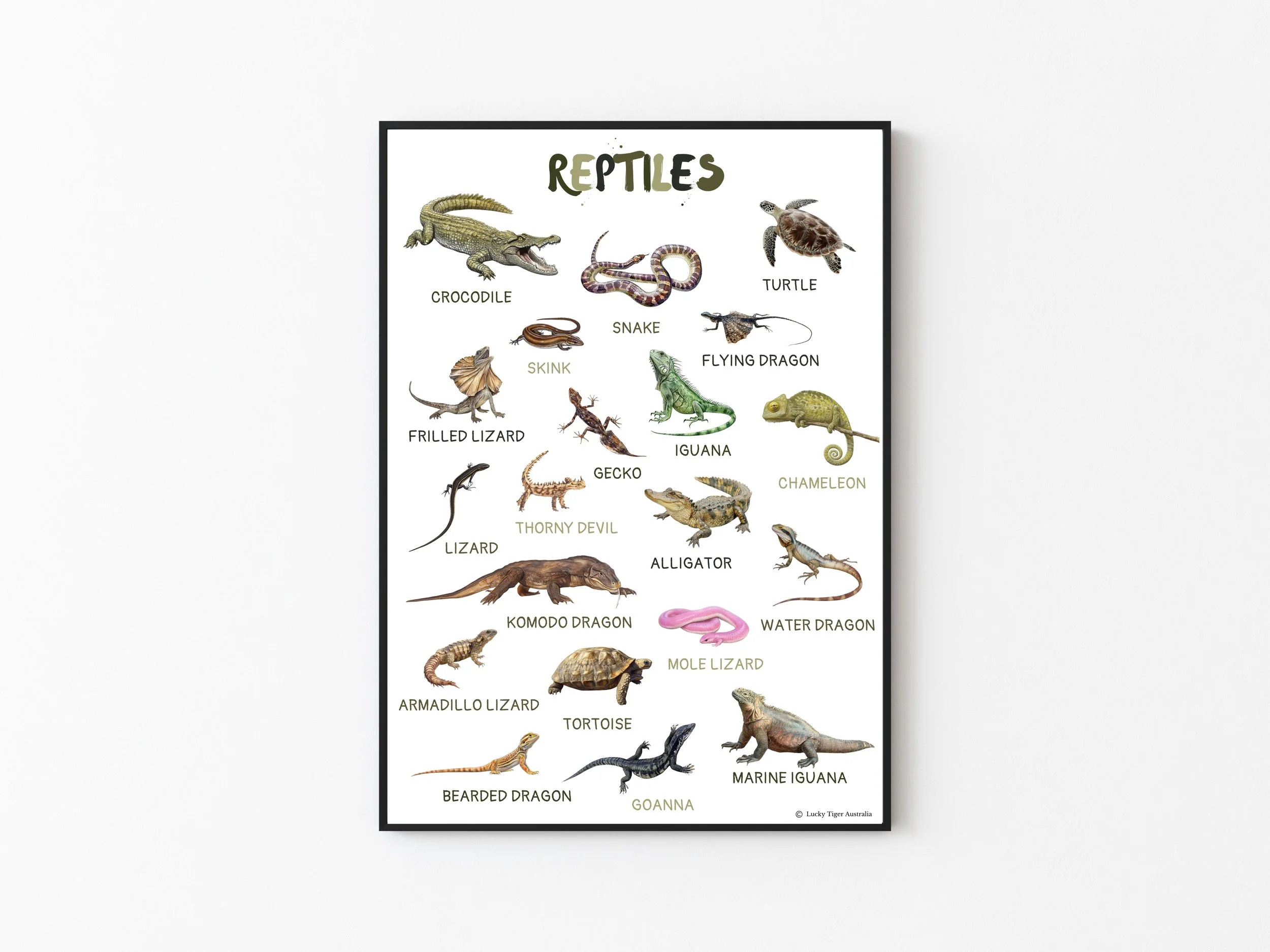 REPTILES A3 PRINTED POSTER