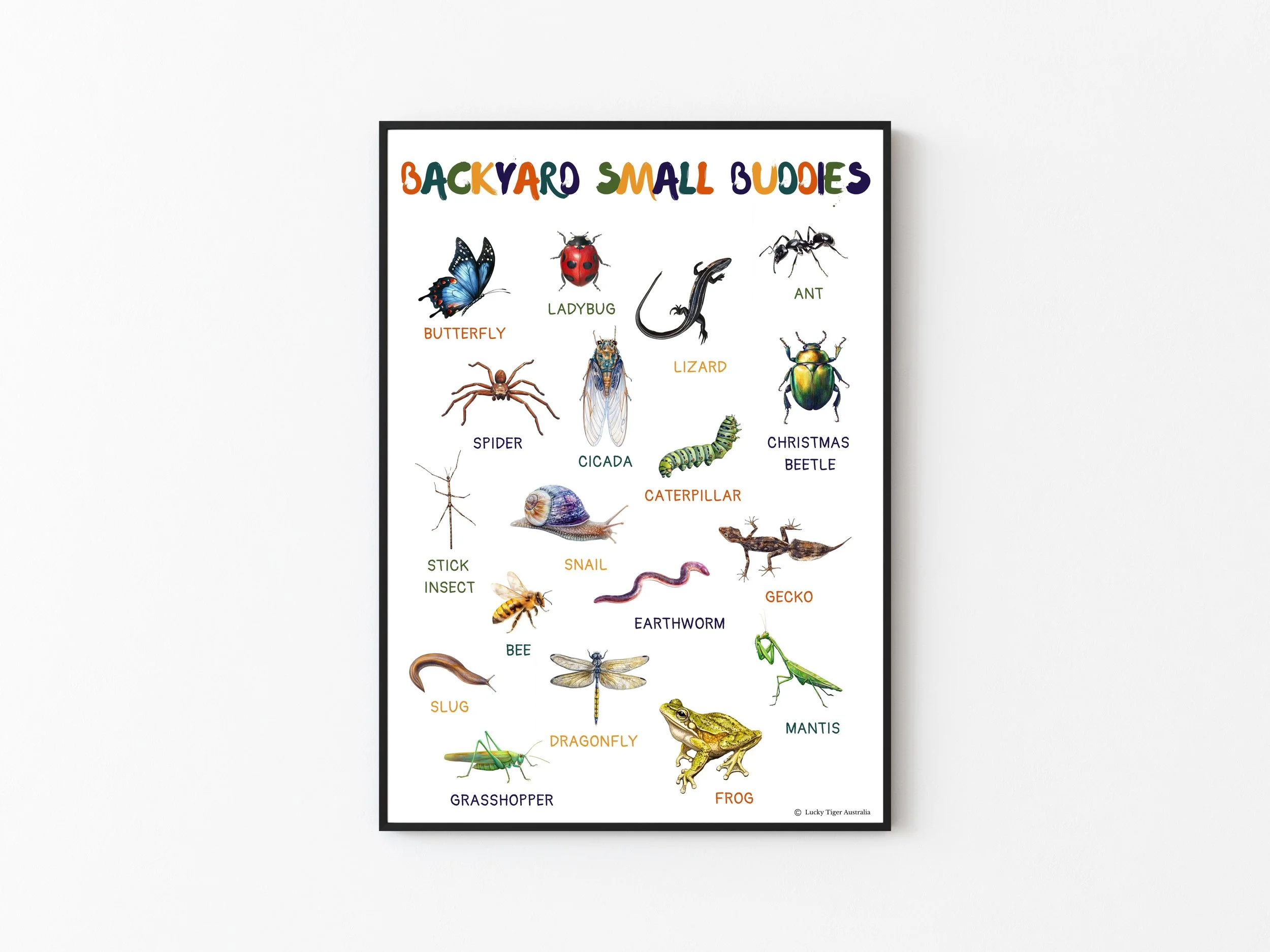 BACKYARD SMALL BUDDIES A3 PRINTED POSTER