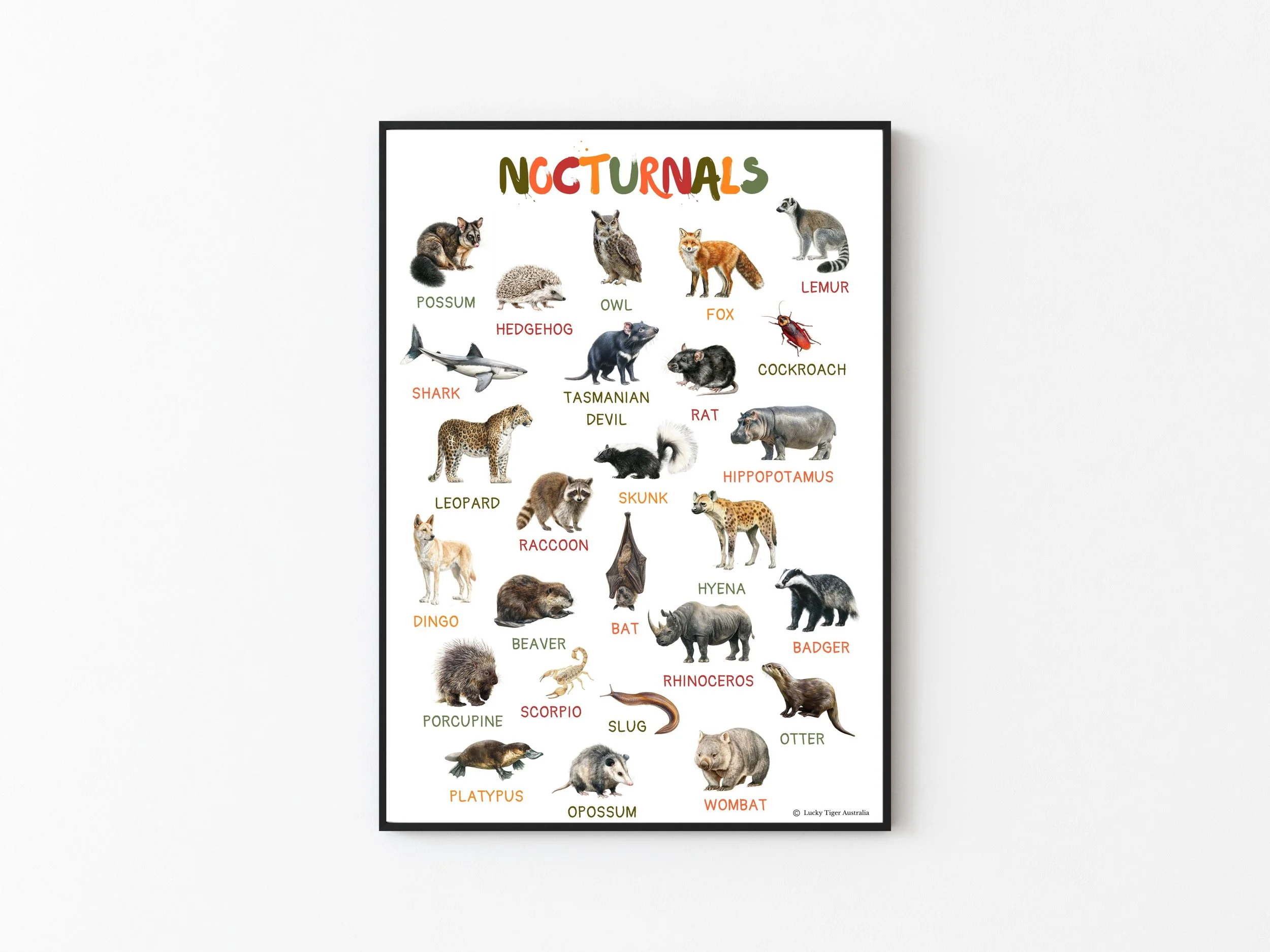 NOCTURNALS A3 PRINTED POSTER