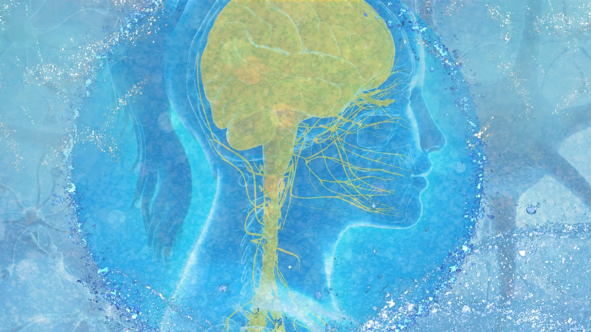 Nervous System Running the Show? Why the Right Tools at the Right Time Matter for Vaginismus