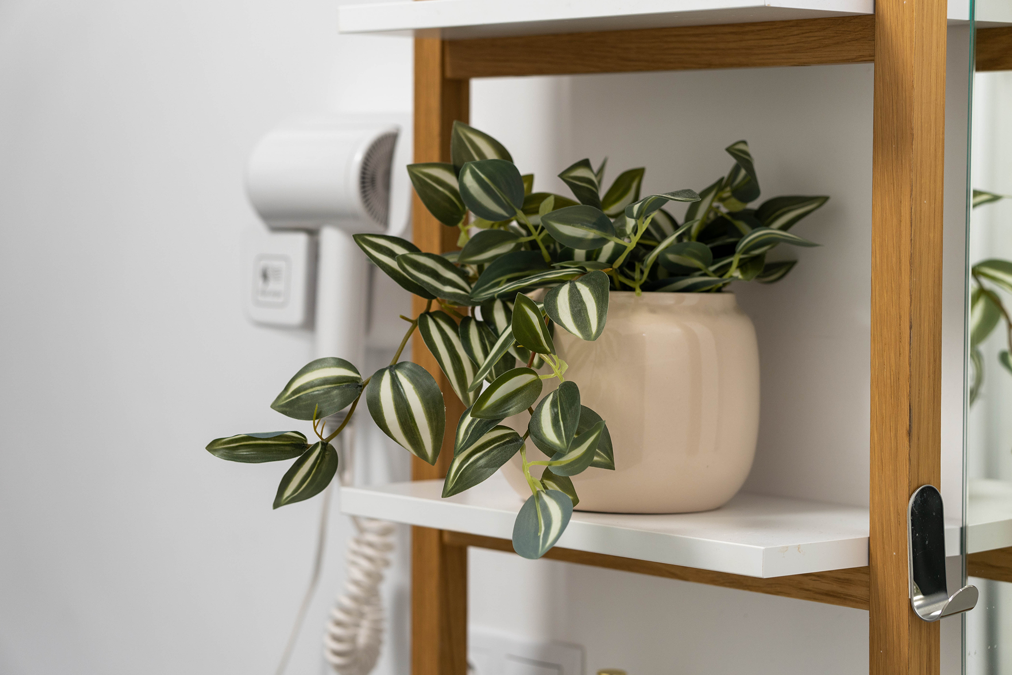 Shelf with a potted plant and a hairdryer in a bathroom.