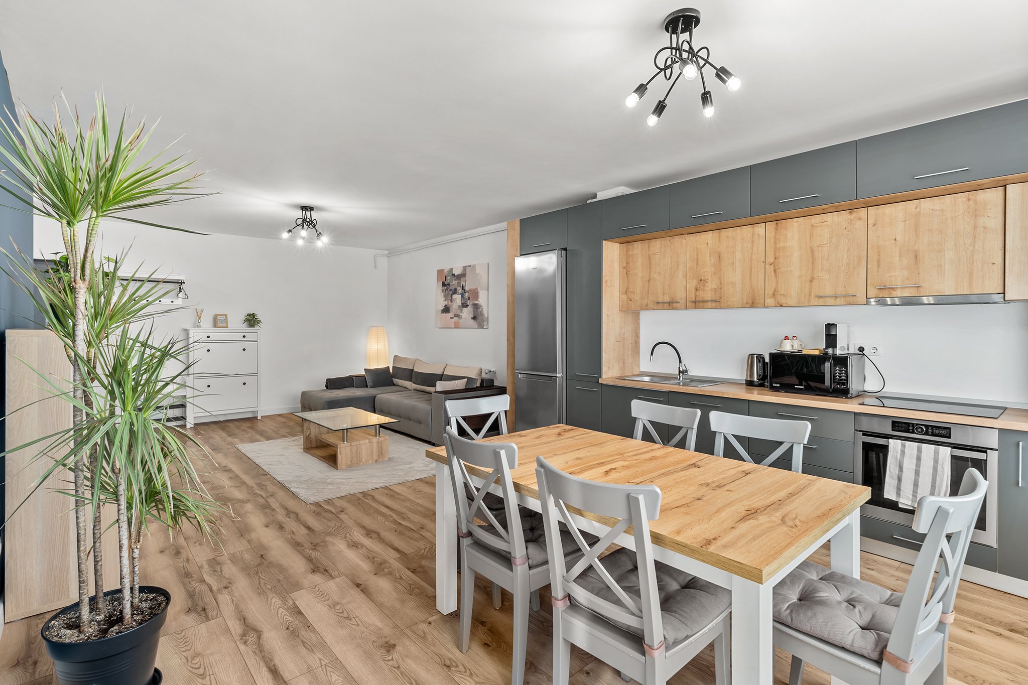 Modern open-plan living room and kitchen with wooden floors, a dining table with chairs, gray cabinets, a sofa, a potted plant, and contemporary lighting fixtures.