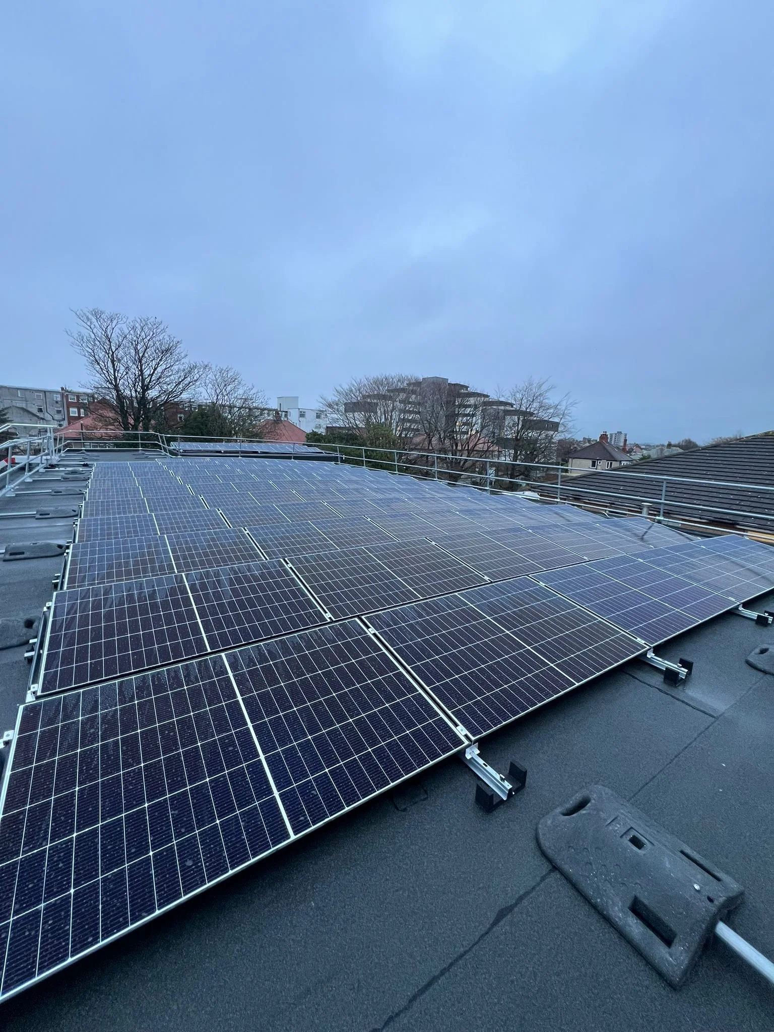 WhatsApp Image 2024-09-26 at 9.57.37 AM.jpeg