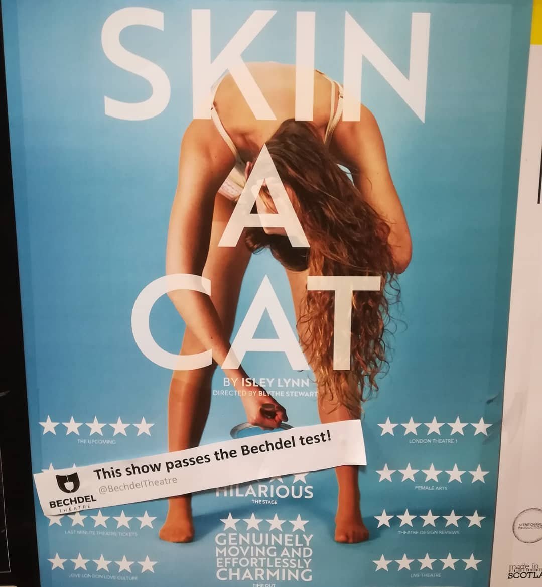 STICKERS_Skin a Catjpg.jpg