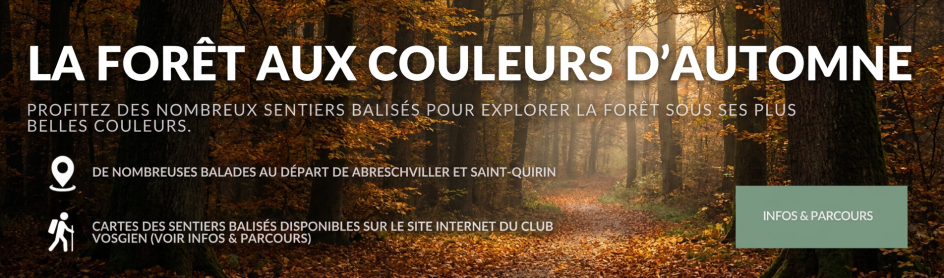 Balade dans nos forêts aux couleurs d'automne