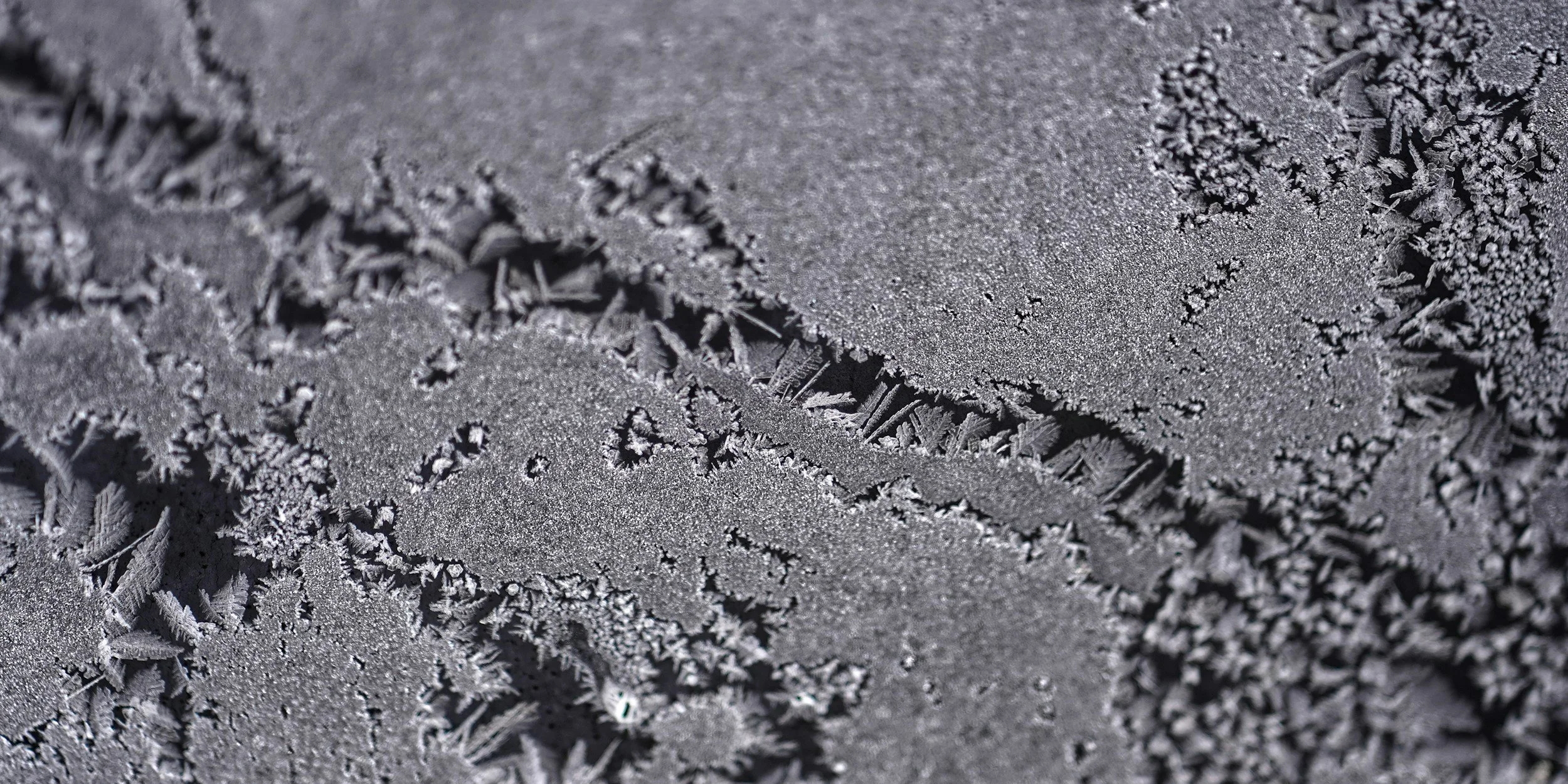 Can Microbial Concrete Materials Replace Conventional Repair Technologies?