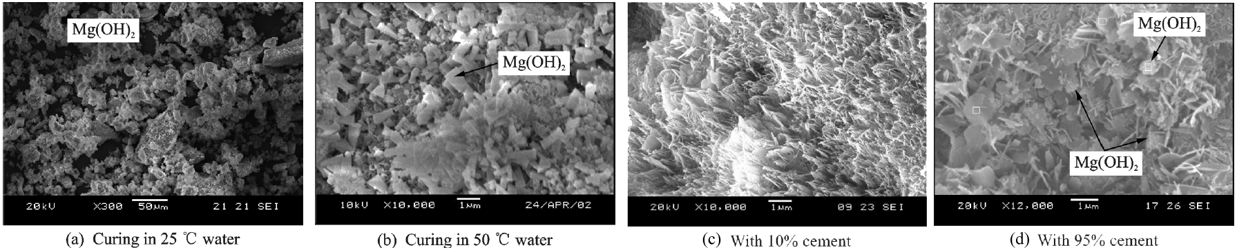 SEM images of magnesium hydroxide and magnesium oxide microstructure under different curing and cement conditions