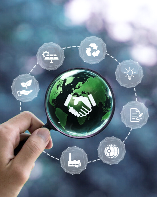 Full-cycle research and development for research projects